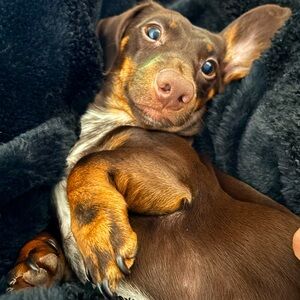 Meet your Posher, Nancy